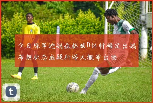 今日绿军迎战森林狼D怀特确定出战布朗状态成疑科塔大概率出场