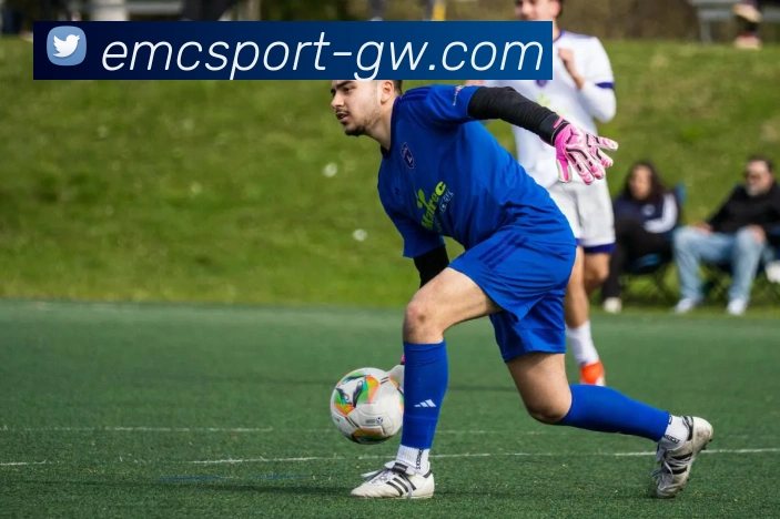 易倍体育APP 高清赛事图