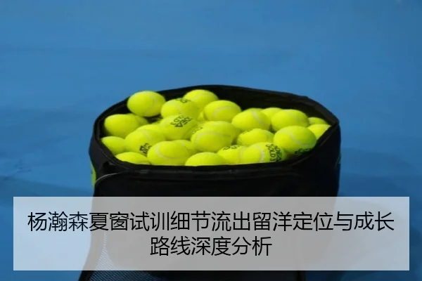 杨瀚森夏窗试训细节流出留洋定位与成长路线深度分析 - EMCSPORTS
